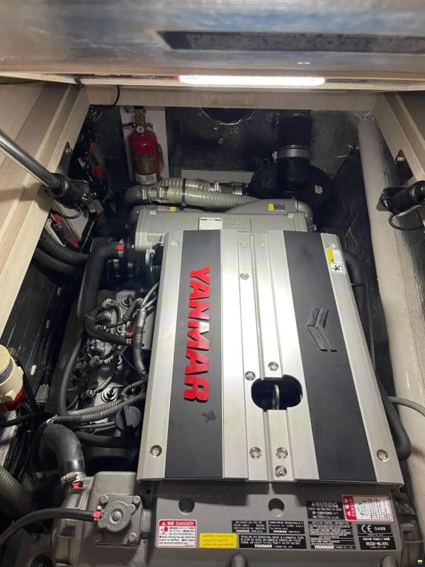 Leopard 43 Powercat
