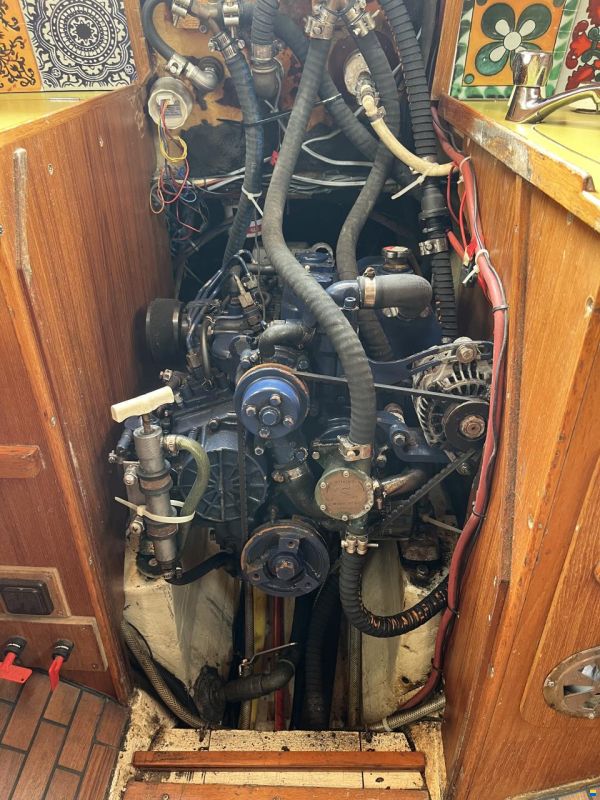Klaus Baess Great Dane 28