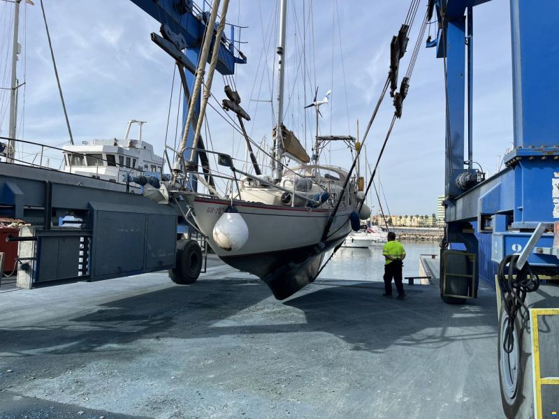 Klaus Baess Great Dane 28