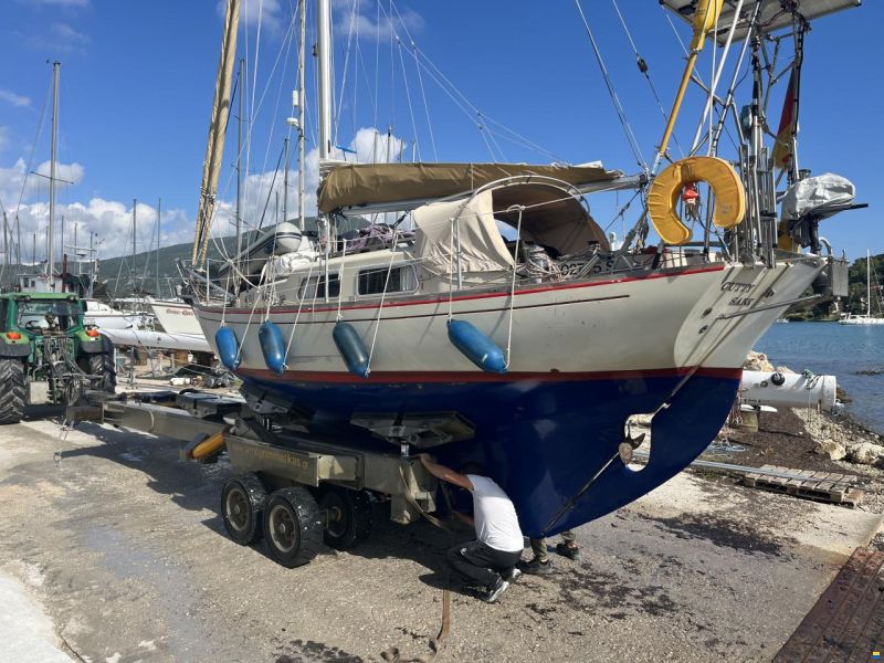 Klaus Baess Great Dane 28