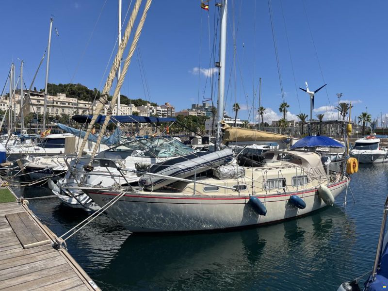 Klaus Baess Great Dane 28