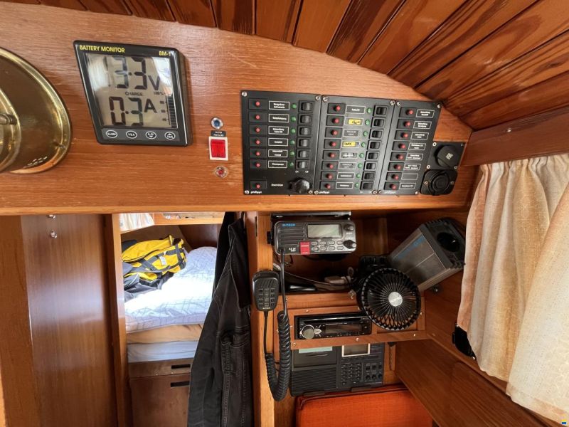 Klaus Baess Great Dane 28