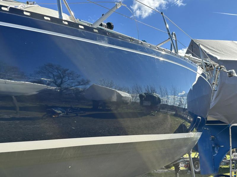 Nadine 24 (Hans He&szlig;, Hamburg)