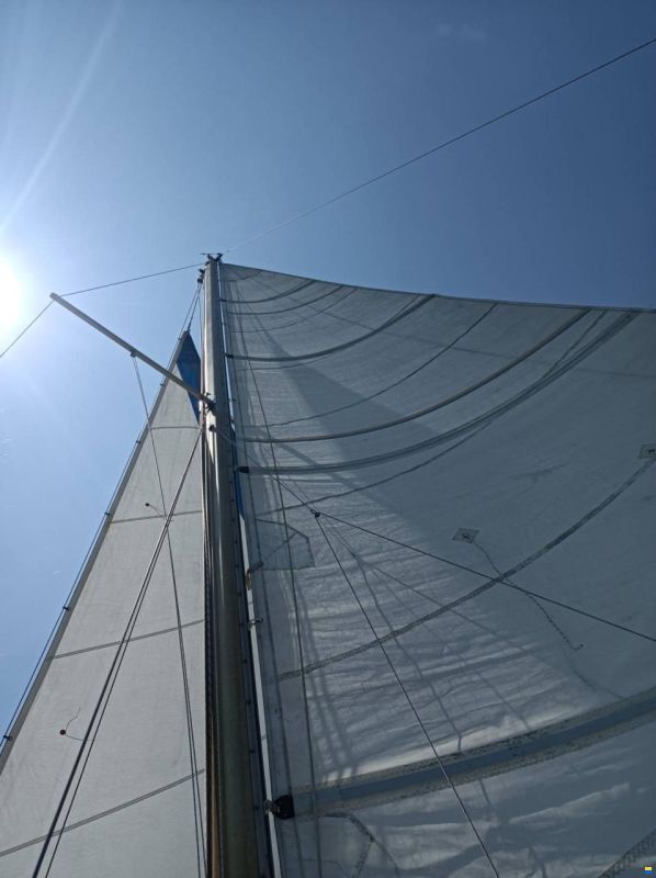 Hurley 27