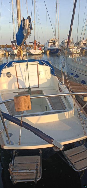 Hurley 27