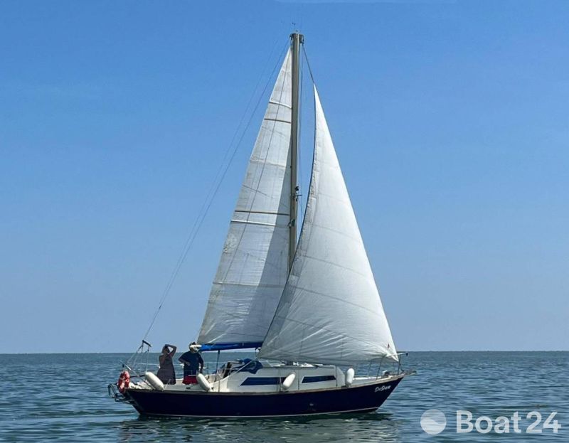 Hurley 27