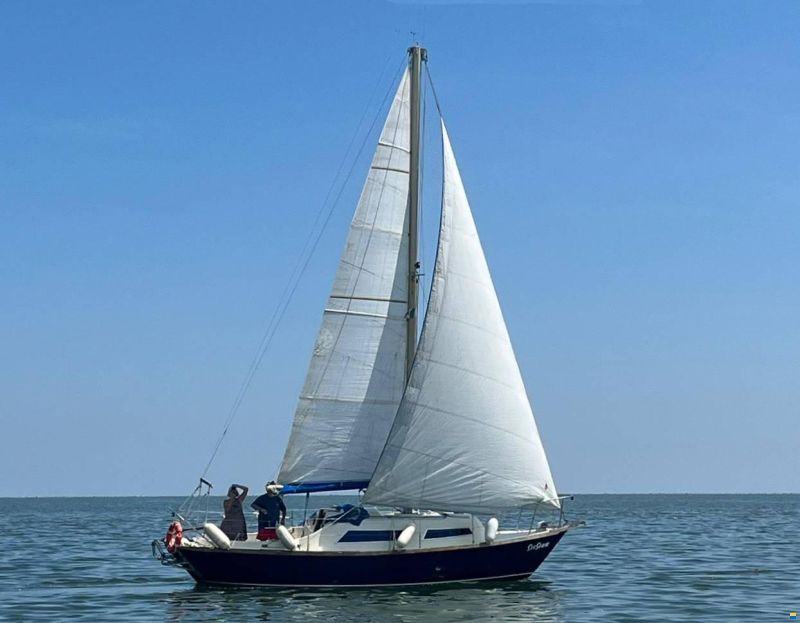 Hurley 27