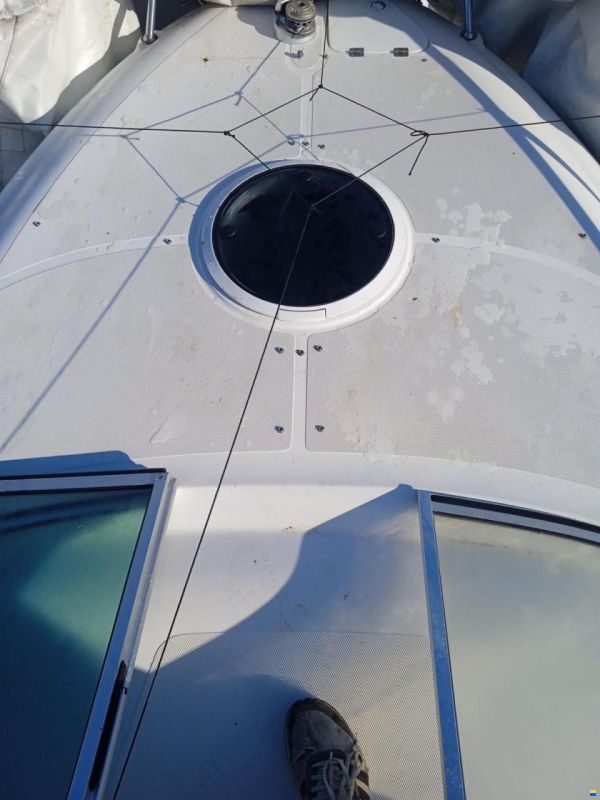 Sessa Islamorada 23