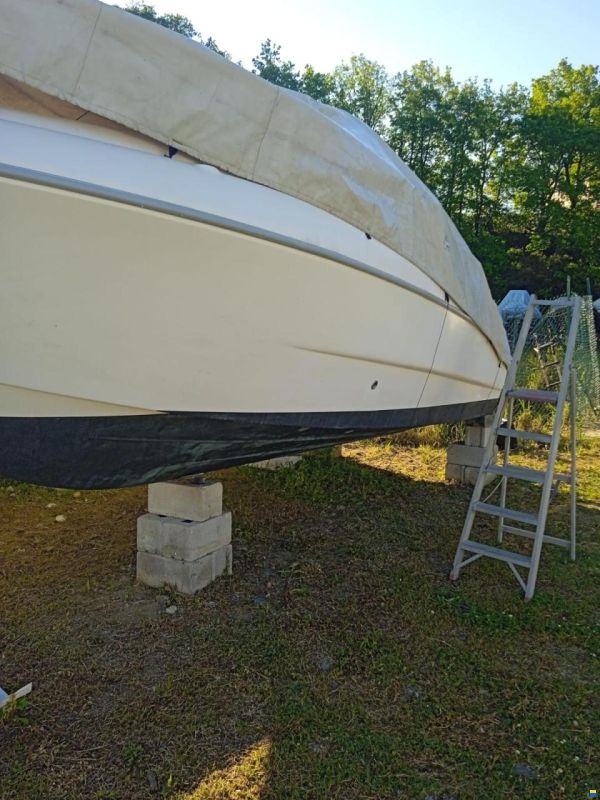Sessa Islamorada 23