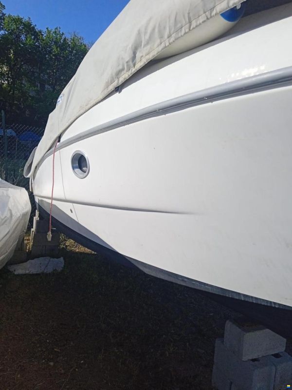 Sessa Islamorada 23