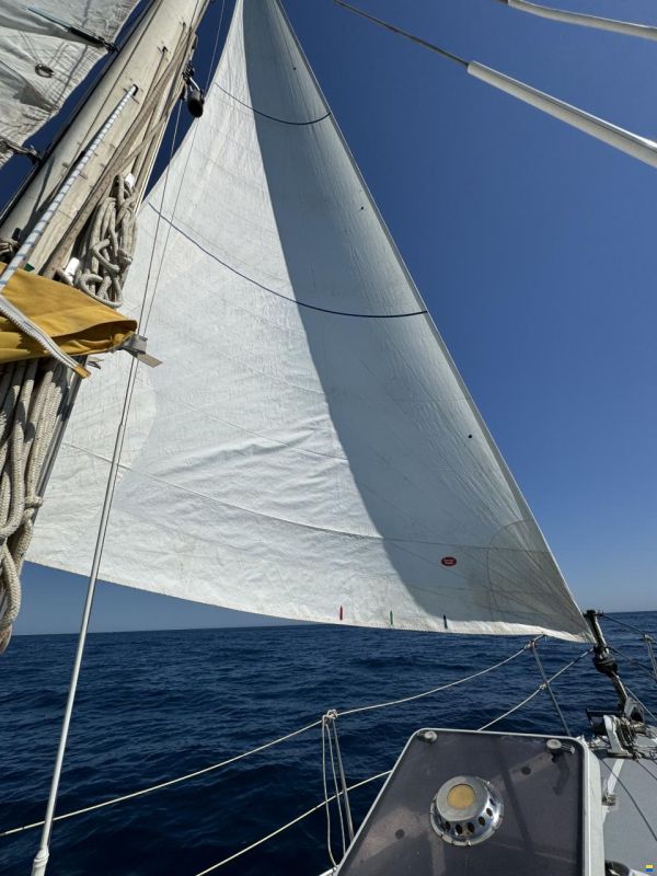 Tyler Boat Co Ohlson 38