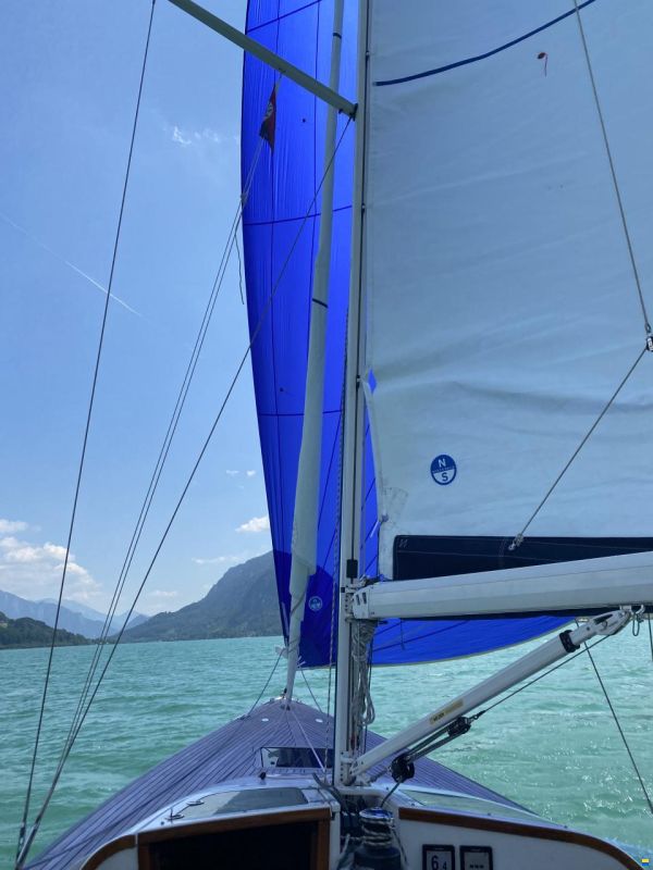 North Sails Mainsail, Fock, Gennaker
