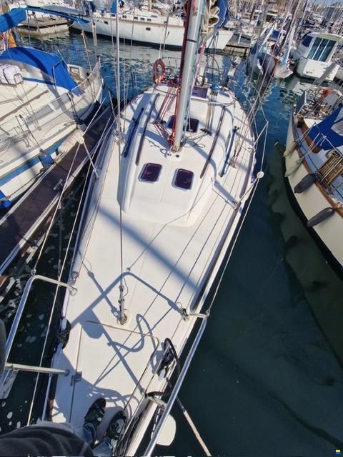 Dufour 34 Performance