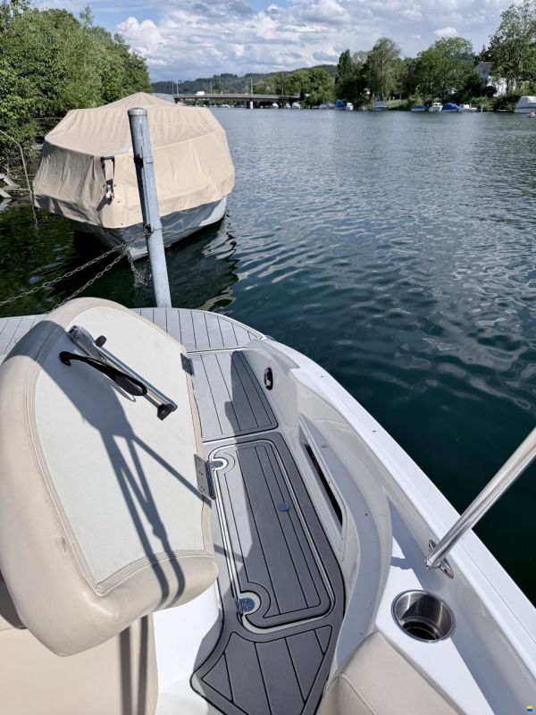 Rinker 226 Captiva BR