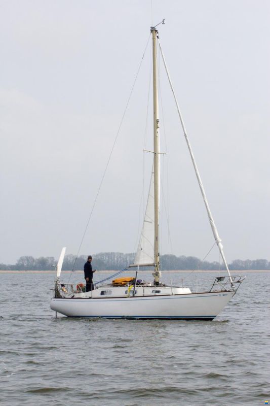 Aquafibre S&S30 AQUA30