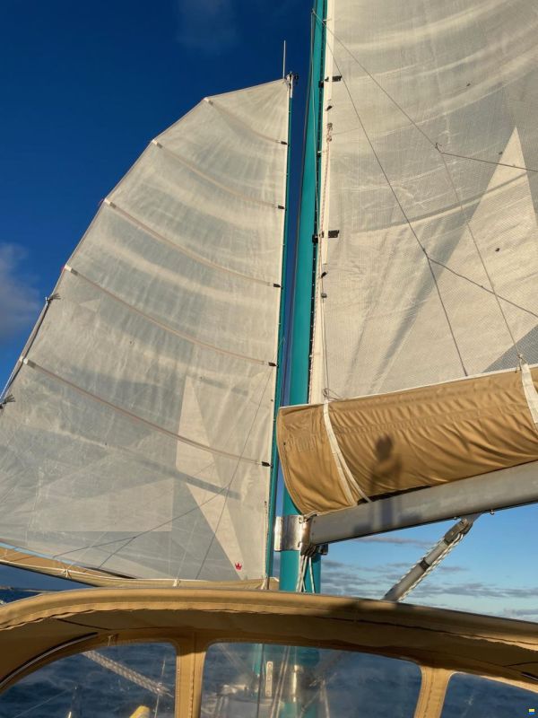 Freedom 35 Cat Ketch