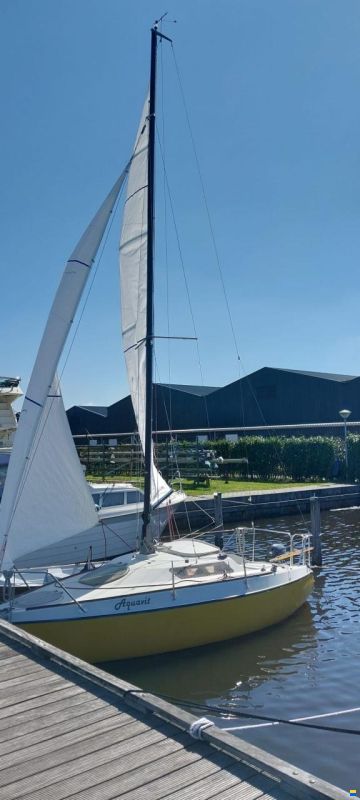 Condor 55