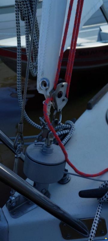 Condor 55