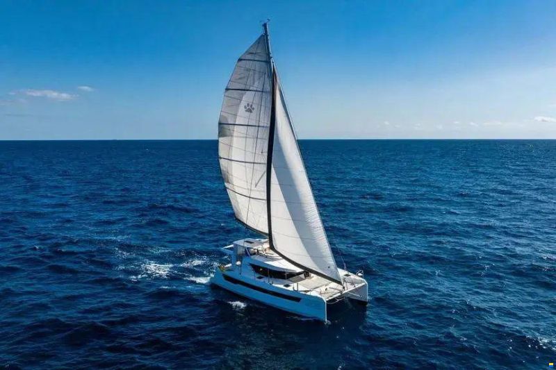 Leopard 46