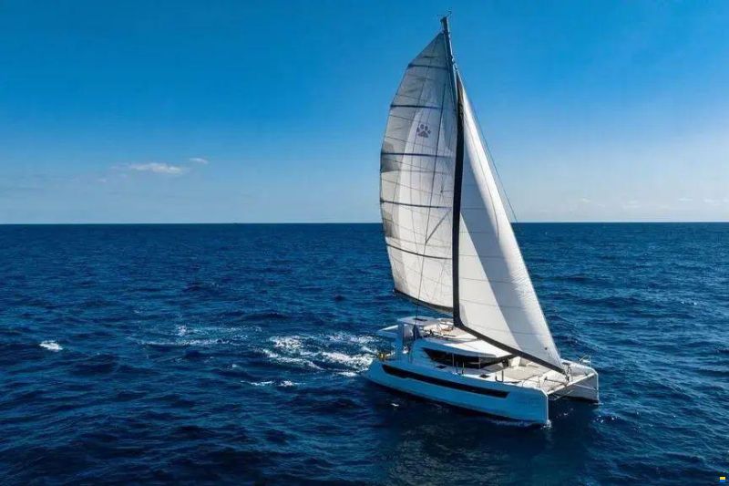 Leopard 46