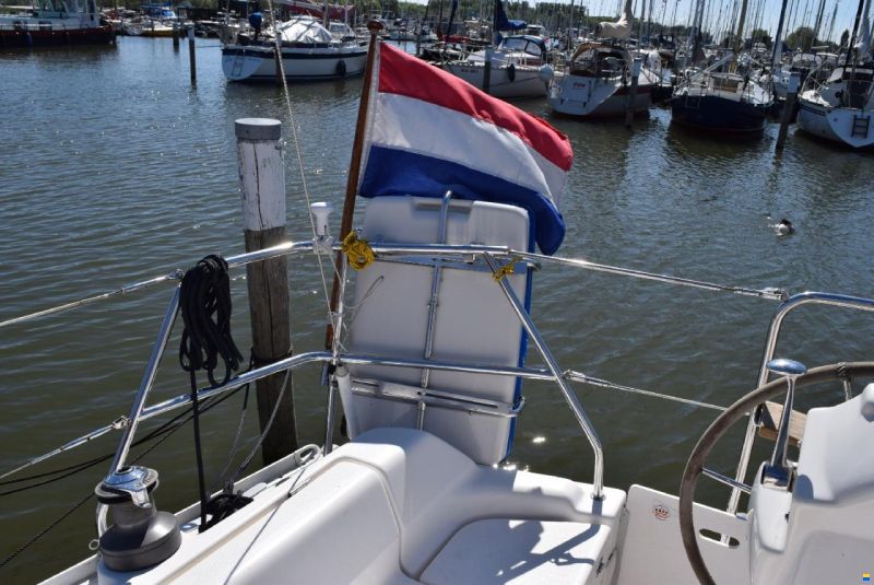 Gib Sea 33
