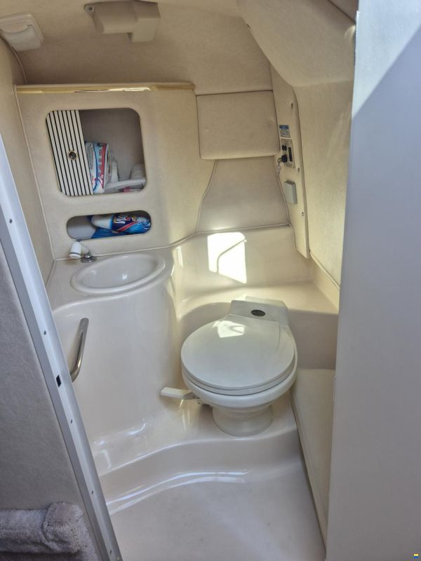 Sea Ray 280 SS Sunsport