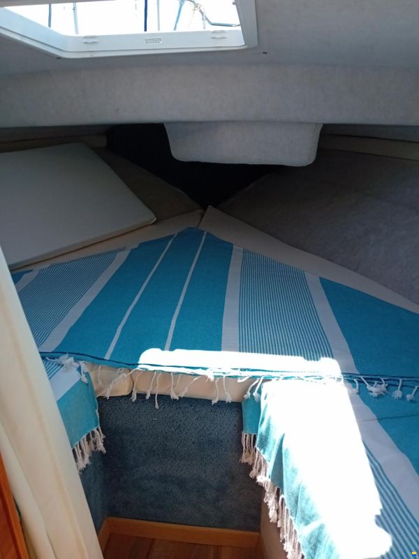 Bayliner 2556 Fly