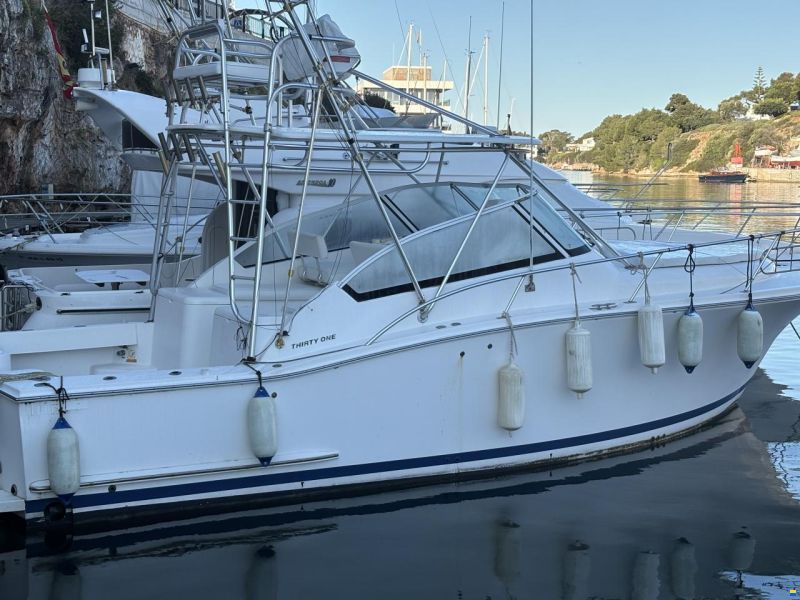 Luhrs 32