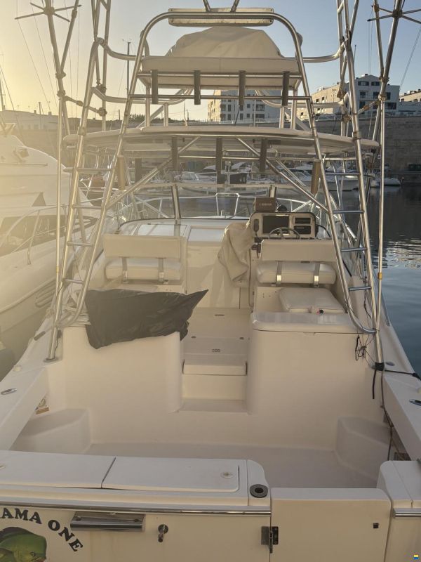 Luhrs 32