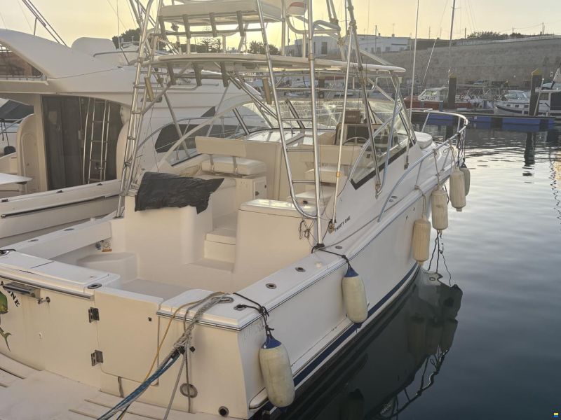Luhrs 32