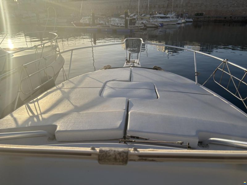 Luhrs 32