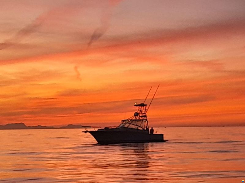 Luhrs 32