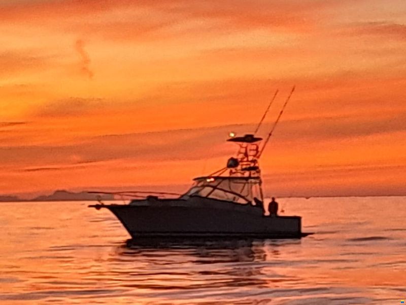 Luhrs 32