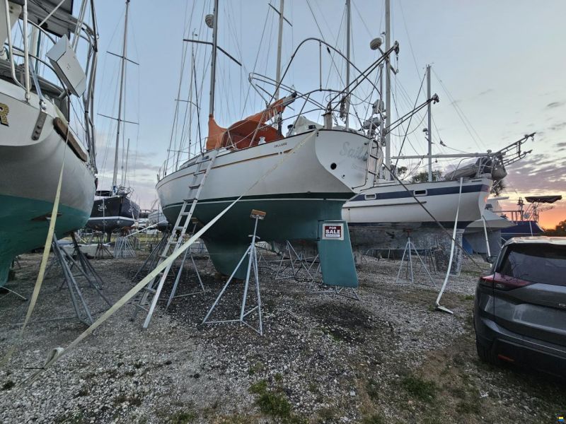 Belliure 41