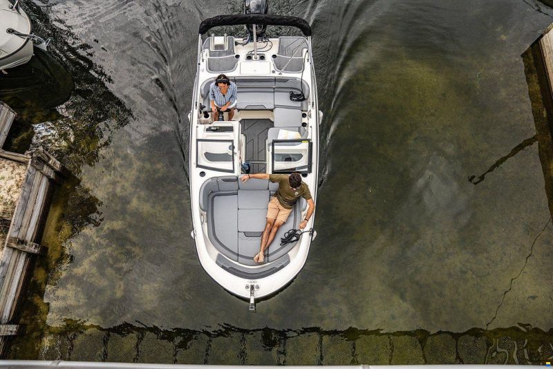 Bayliner M17