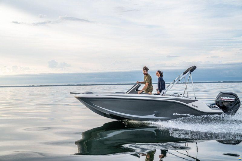 Bayliner M17