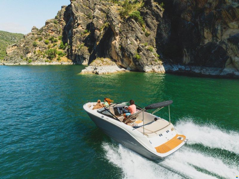 Bayliner V20I