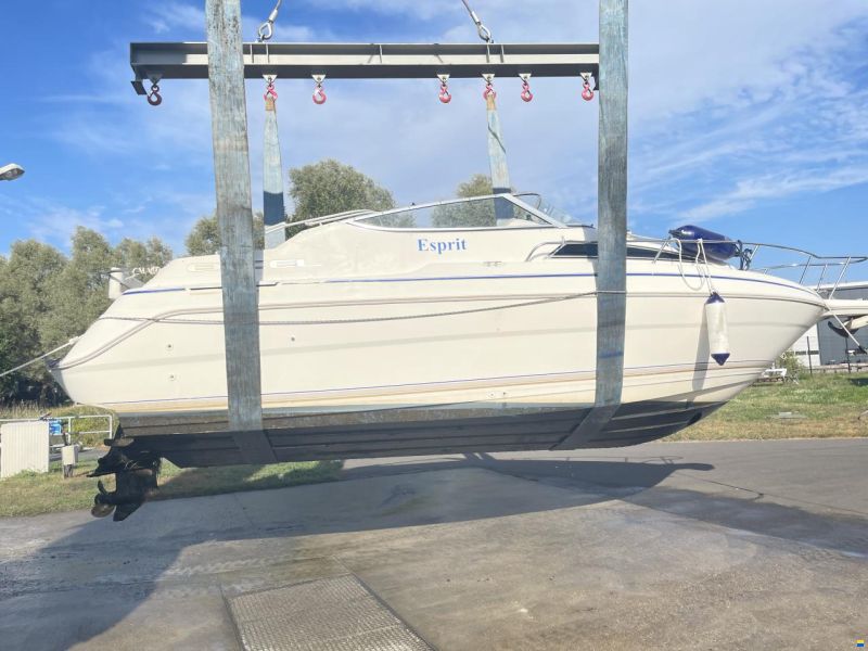 Wellcraft 23 SE EXEL