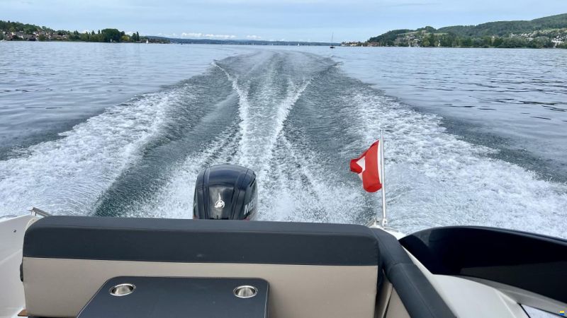 Parker 630 Day Cruiser mit Mercury 100 PS