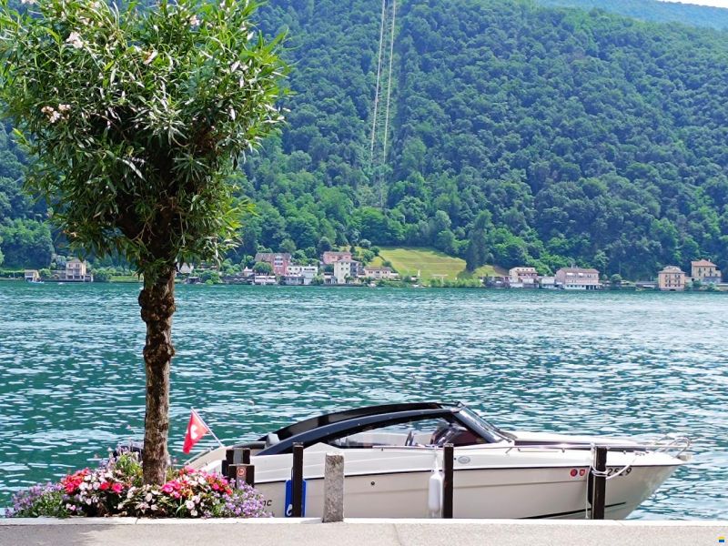 Parker 630 Day Cruiser mit Mercury 100 PS