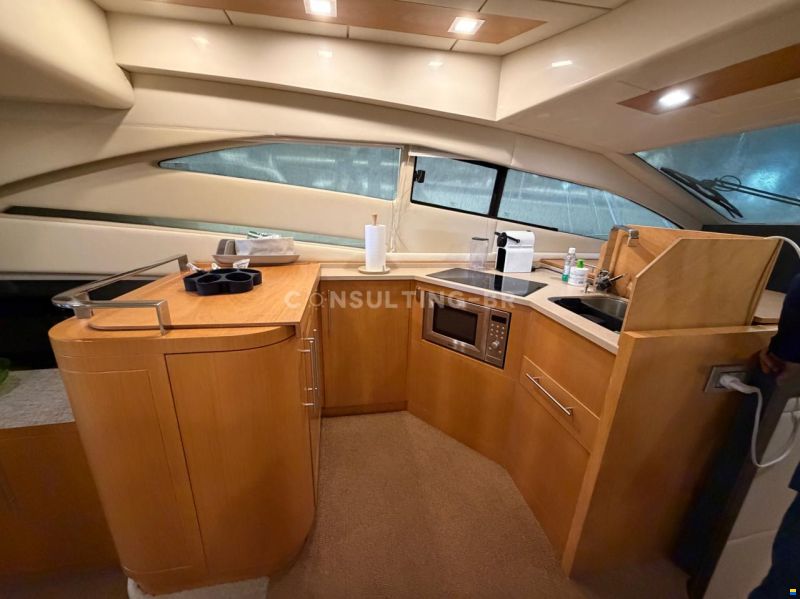 Rodman Muse 44