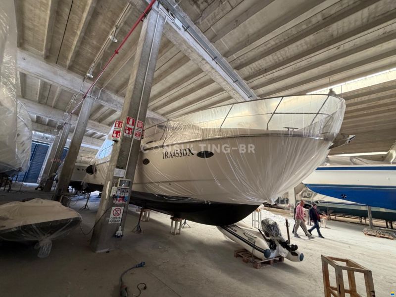 Rodman Muse 44