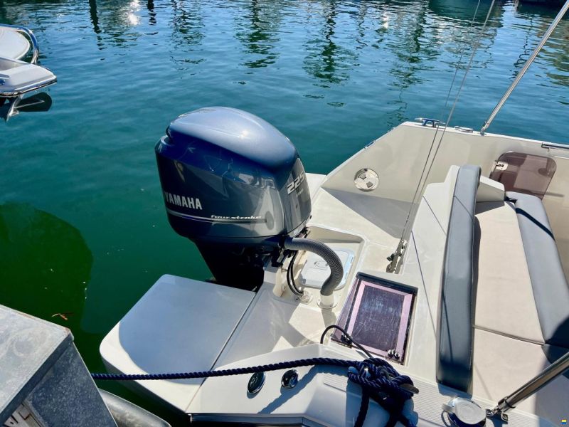 White Shark 240 Sport Cabin