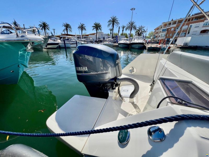 White Shark 240 Sport Cabin