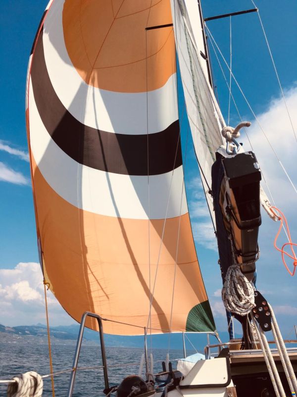 Pour Bavaria 707 ou similaires