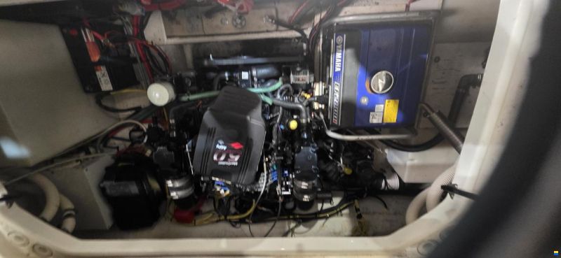 Bayliner 275 BL