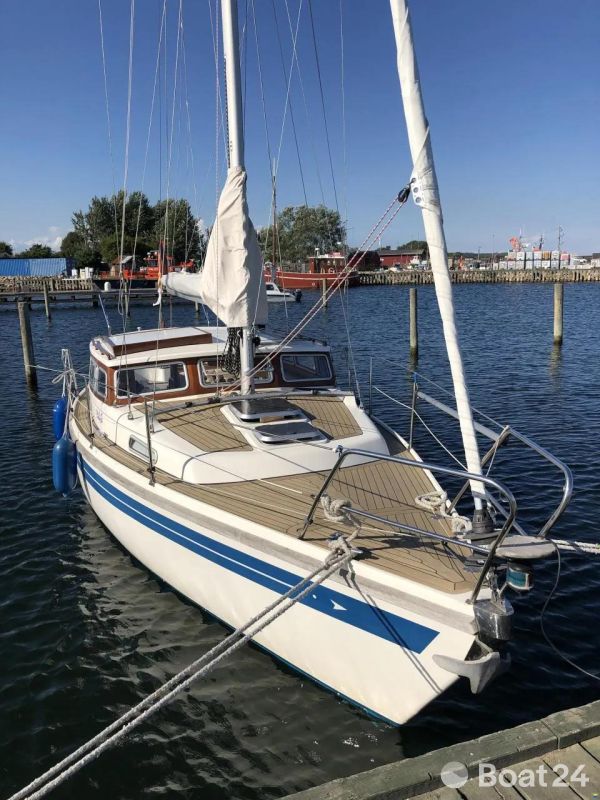 Sirius 31 DS (MS)