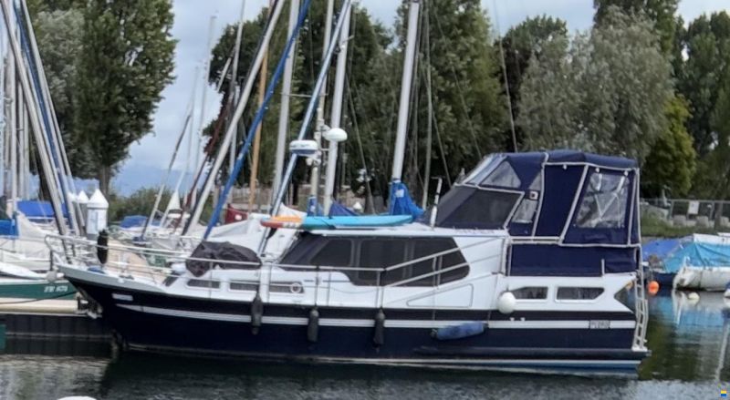 Pedro 37