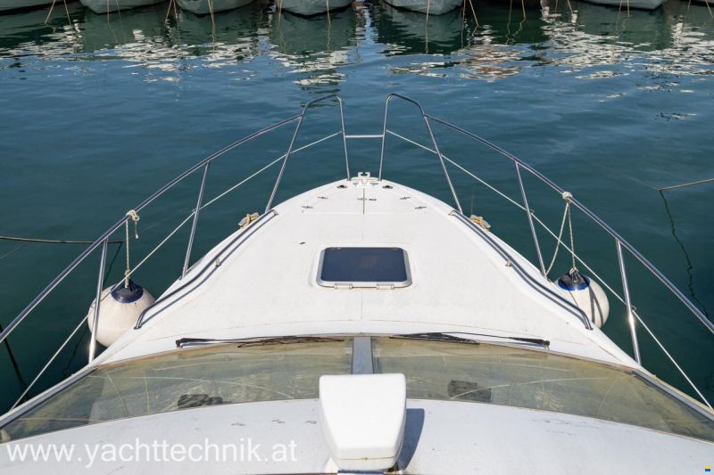 Sealine F33