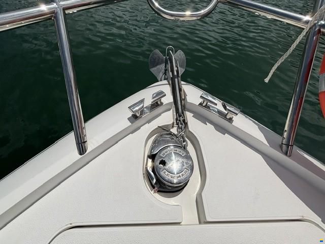 Princess V40